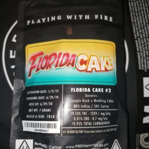 Jungle Boys Florida Cake
